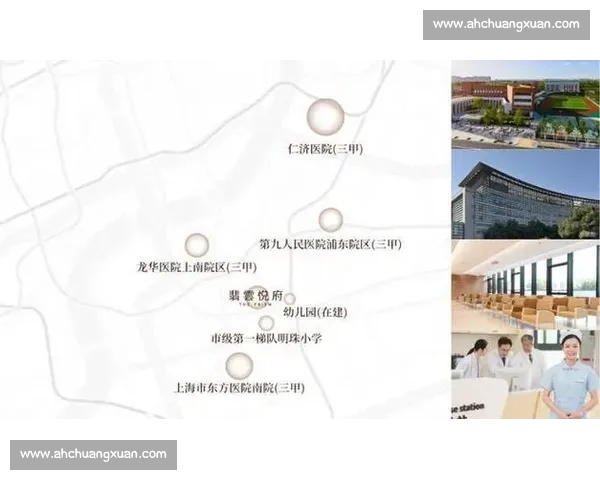 权威体育平台官网登录入口指南与安全畅玩体验解析全流程服务说明